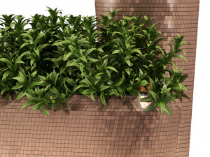 Plants collection 275 3D मॉडल