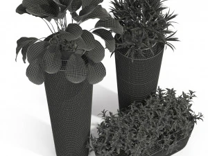 Plants collection 275 3D Model