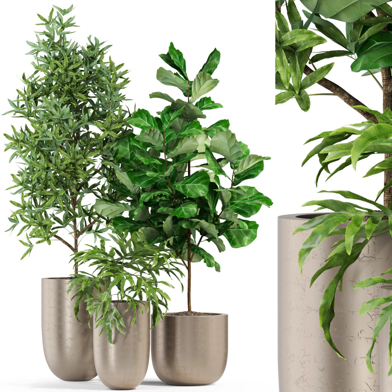 Plants collection 276 3D Model .c4d .max .obj .3ds .fbx .stl .blend 