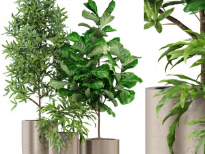 Plants collection 276 3D 모델