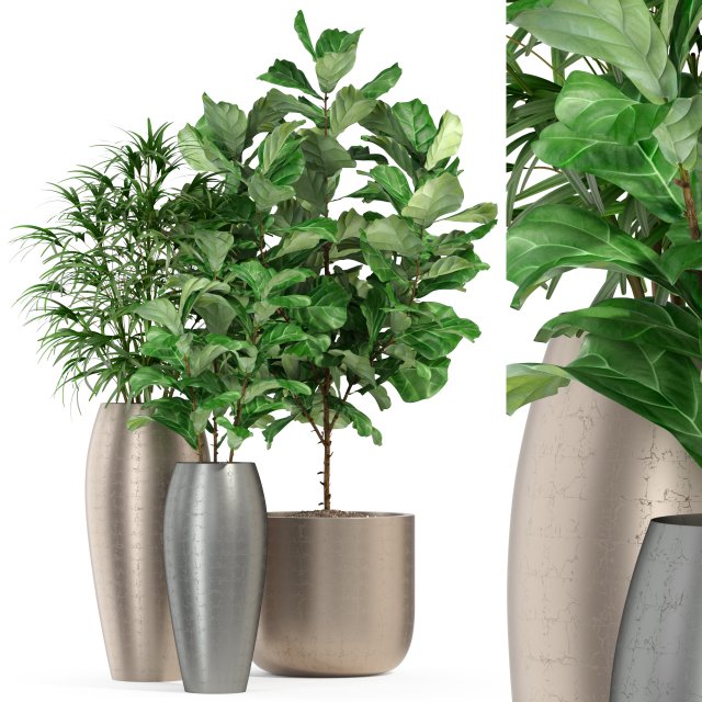 Plants collection 277 Modello 3D .c4d .max .obj .3ds .fbx .stl .blend