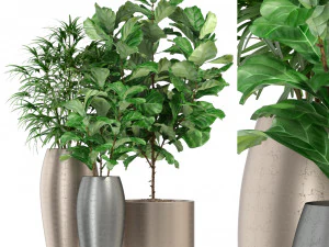 Коллекция растений 277 3D Модель