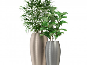 Plants collection 277 Modello 3D
