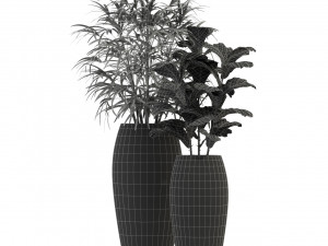 Plants collection 277 Modello 3D