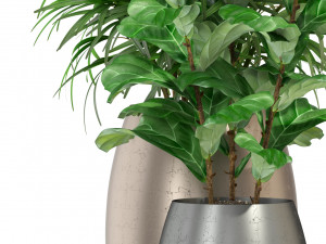Plants collection 277 Modello 3D