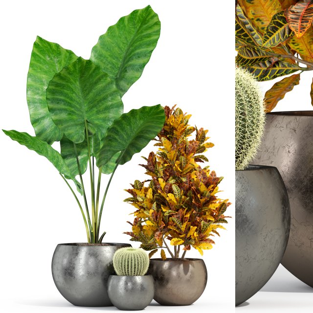 Plants collection 278 3D Model .c4d .max .obj .3ds .fbx .stl .blend 