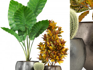 Plants collection 278 3D 모델