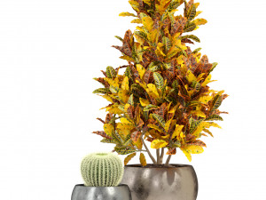 Plants collection 278 3D Model