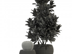 Plants collection 278 3D Model
