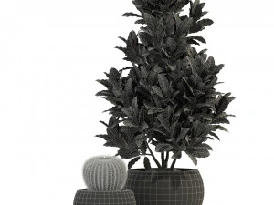 Plants collection 278 3D Model