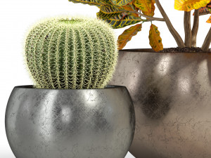 Plants collection 278 3D Model