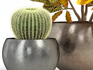 Plants collection 278 3D Model