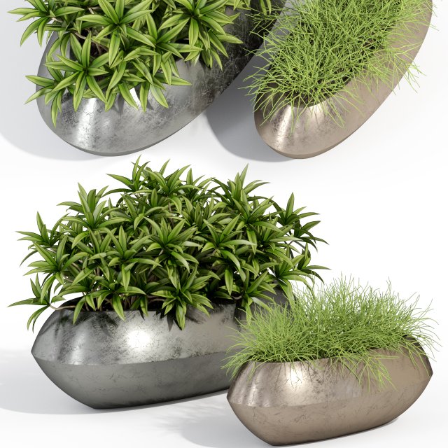 Plants collection 279 3D Модель .c4d .max .obj .3ds .fbx .stl .blend