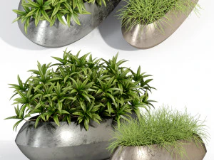 पौधों का संग्रह 279 3D मॉडल