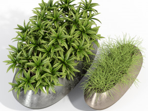 Plants collection 279 3D Модель