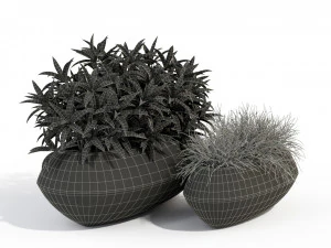 Plants collection 279 3D Model