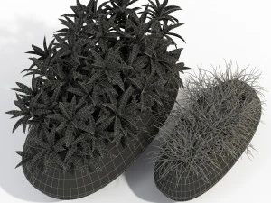 Plants collection 279 3D Model