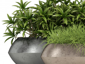 Plants collection 279 3D Модель
