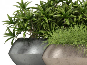 Plants collection 279 3D Model