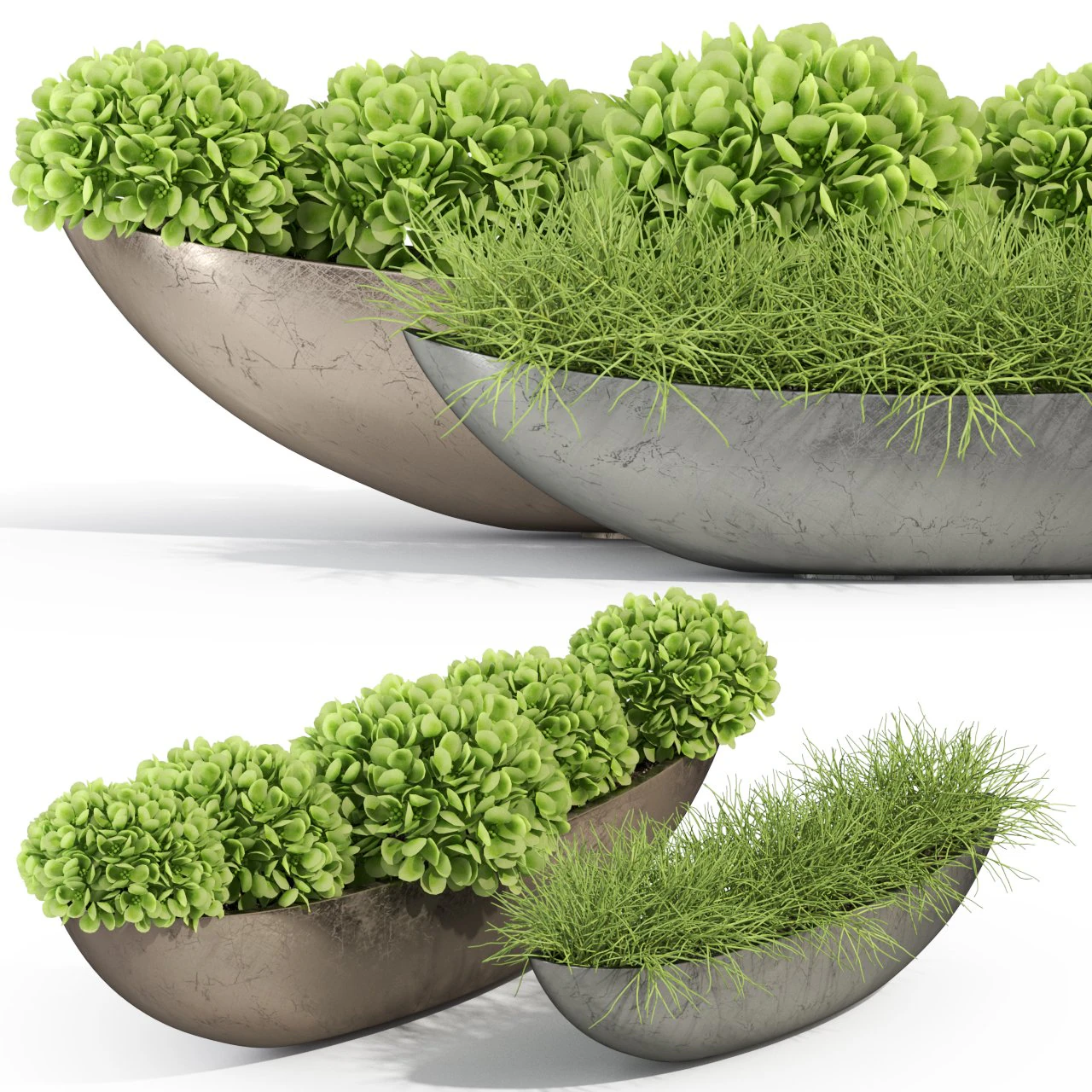 Plants collection 280 3D Model .c4d .max .obj .3ds .fbx .stl .blend 