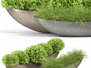 Коллекция растений 280 3D Модель