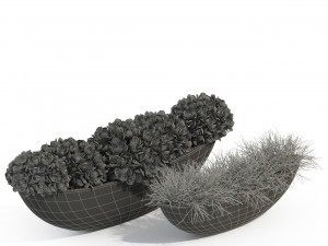Plants collection 280 Modello 3D