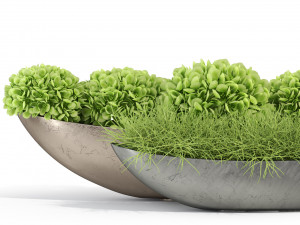 Plants collection 280 Modello 3D
