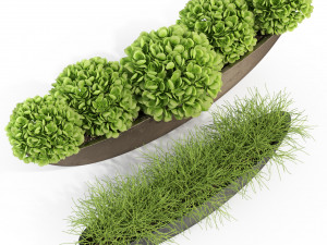 Plants collection 280 Modello 3D