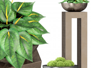 Plants collection 281 3D Model