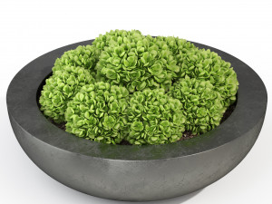 Plants collection 281 3Dモデル