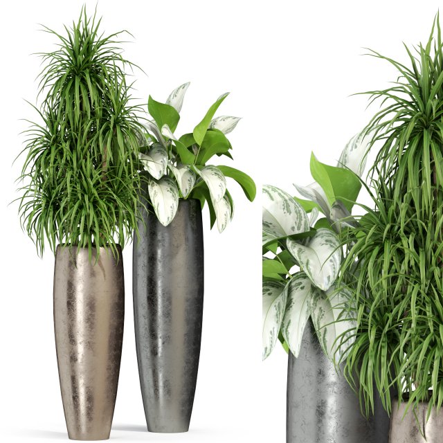 Plants collection 282 3D Model .c4d .max .obj .3ds .fbx .stl .blend 