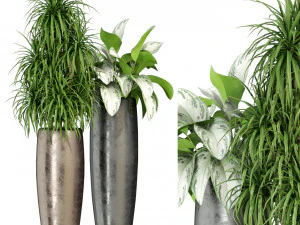 Cole&ccedil;&atilde;o de plantas 282 Modelo 3D