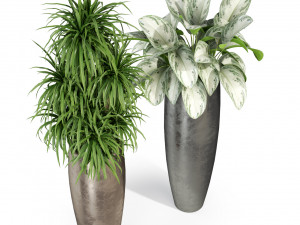 Plants collection 282 3D Model