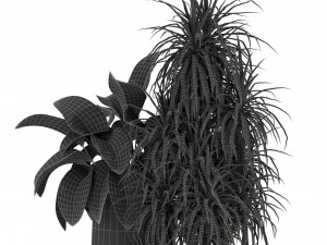Plants collection 282 3D Model