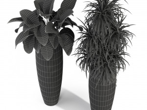 Plants collection 282 3D Model
