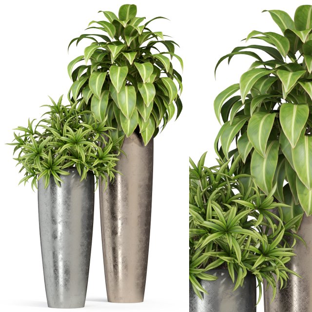 Plants collection 283 3D Model .c4d .max .obj .3ds .fbx .stl .blend 