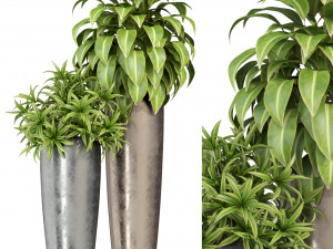 Plants collection 283 Modèle 3D