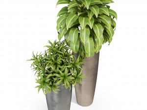 Plants collection 283 3D Model