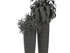 Plants collection 283 3D Model