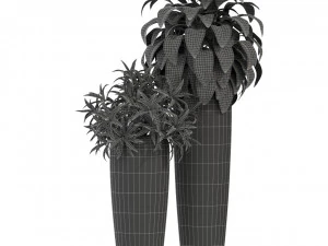 Plants collection 283 3D Model