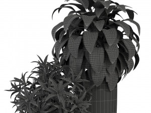 Plants collection 283 3D Model