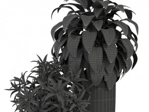 Plants collection 283 3D Model