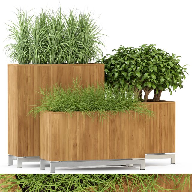 Plants collection 284 3D Model .c4d .max .obj .3ds .fbx .stl .blend 