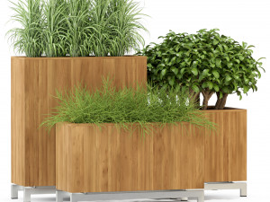 Plants collection 284 Modelo 3D