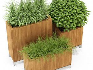 Plants collection 284 3D Model