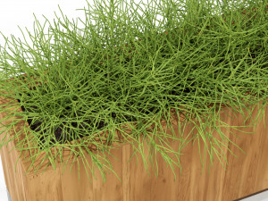 Plants collection 284 3D Model
