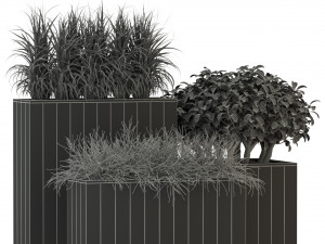 Plants collection 284 3D Model