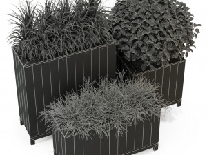 Plants collection 284 3D Model