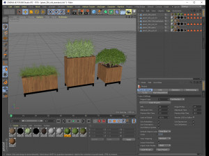 Plants collection 284 3D Model