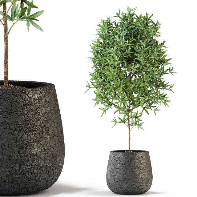 Plants collection 285 Modèle 3D .c4d .max .obj .3ds .fbx .stl .blend 